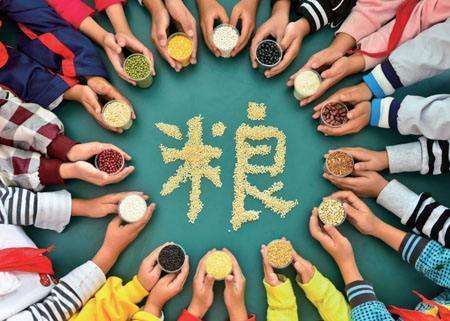 輸送帶廠家：第40個(gè)世界糧食日，食品安全很重要