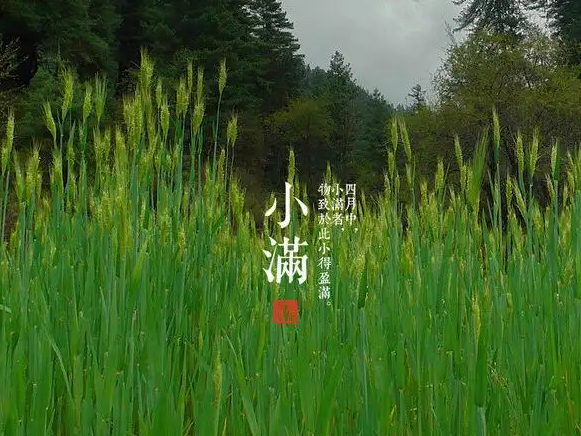今日小滿，擎川與你一起靜待美滿！